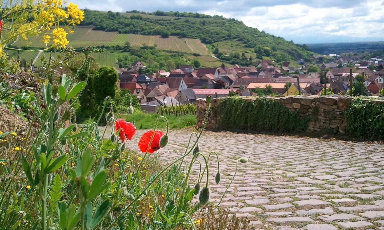 Auberge Du Cheval Blanc Depuis 1785 Westhalten Buitenkant foto